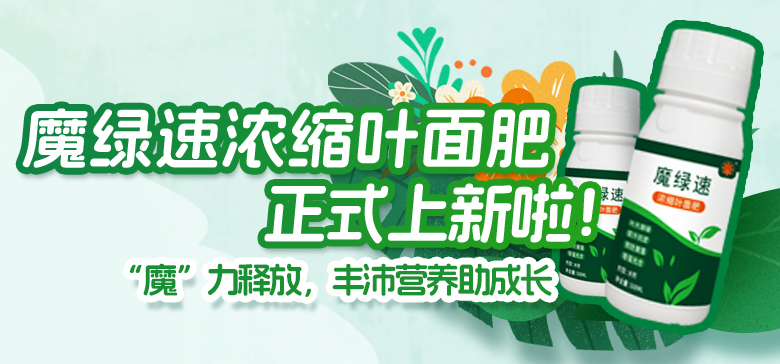 豐沛營養(yǎng)助成長！魔綠速濃縮葉面肥上新啦